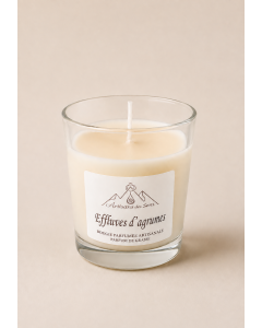 Bougie parfumée artisanale agrumes Grasse Artisan des Sens